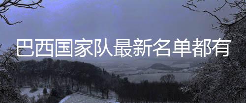 除了16名旅欧球员外