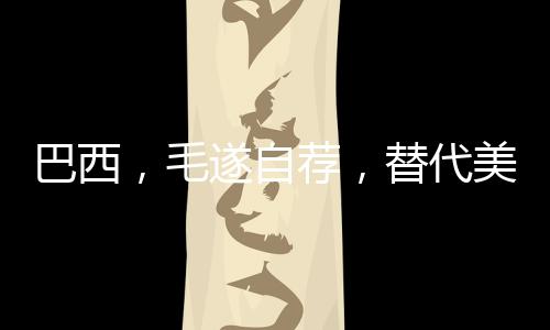 随着中美贸易冲突的巴西升级