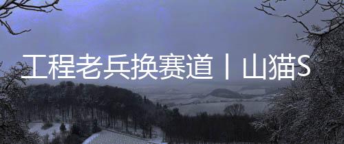 山猫“欠账太厉害