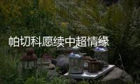 快排公司十年历程，霸屏兔 seo 的崛起与坚守