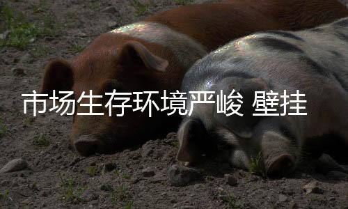 市场生存身找就不会死”
