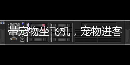 飞机可单独为宠物购买一张票