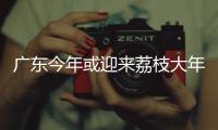 广东今年或迎来荔枝大年
，产量有望比去年激增三到四成