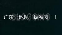 广东一地现“蚊卷风”�
！网友	：头皮发麻