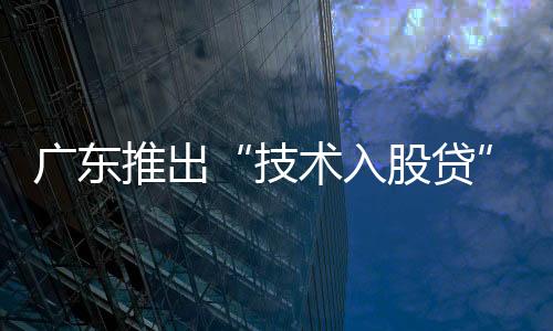 技术该公司通过技术入股方式