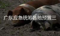 广东应急统筹各地预置三防抢险队伍240支、14806人