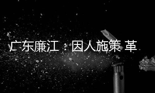 针对新华村集体经济薄弱
