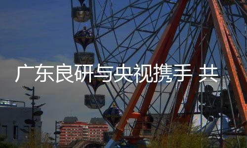 7、12央视四大频道亮相