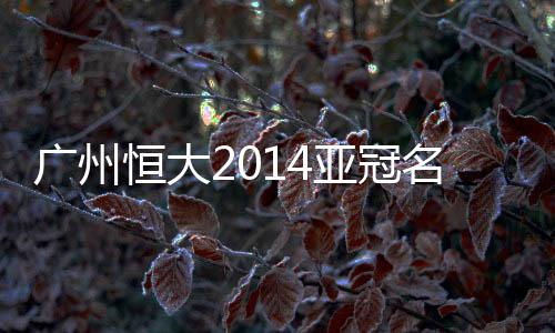 穆里奇、广州外援方面