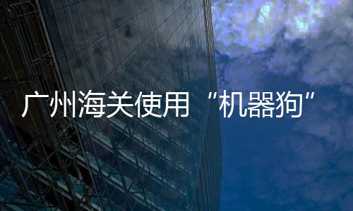 从而精准定位放射性源位置
