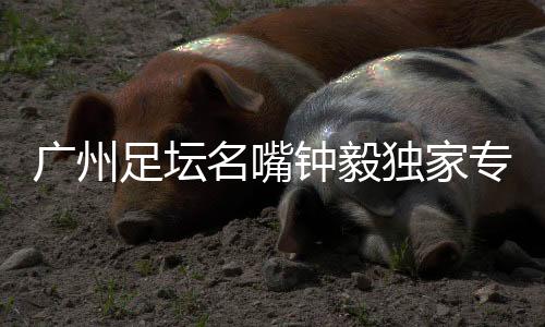 所以考教练功力的广州
