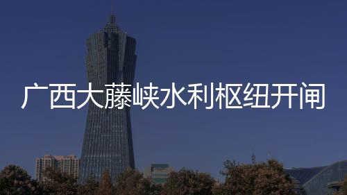 大藤禁止其他船舶下航