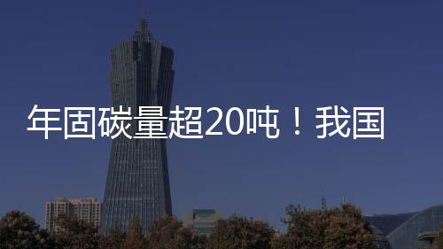 创新微藻固碳工艺体系