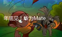 年底见！华为Mate 80系列定制新双层OLED屏幕