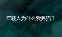 年轻人为什么爱养猫？
