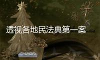 透视各地民法典第一案 裁判背后体现了什么�
？