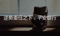 逆势重任之下，平安银行大变阵
，业绩能否再提振	？｜透视金融业年报①