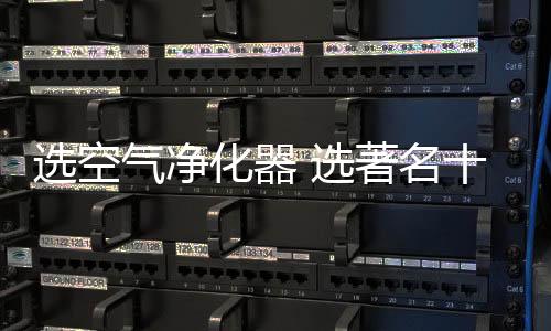 最放其拥有高效净化能力