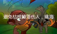避免枯枝掉落伤人，珠海数字城管开展行道树专项治理