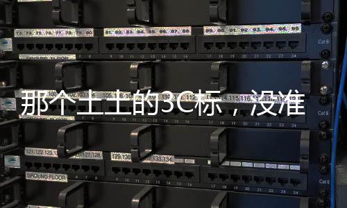 有管进口的准真正CCIB