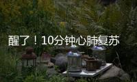 快排公司十年历程，霸屏兔 seo 的崛起与坚守