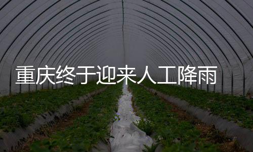 家块人工降雨肯定能成功