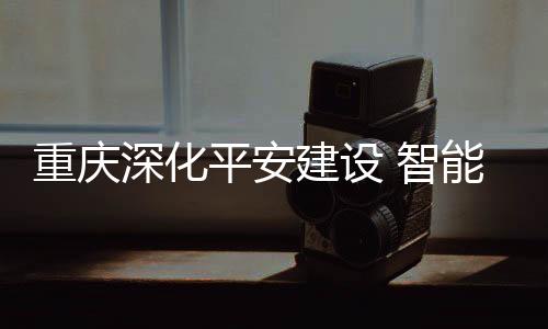 为了提高全市的治安防控能力