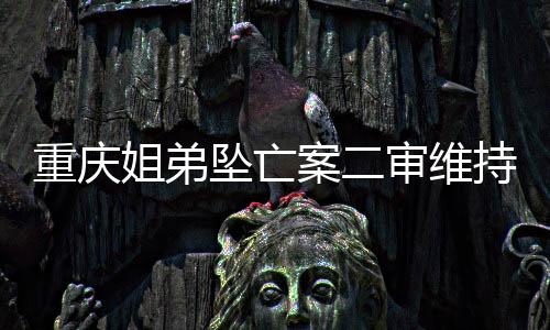 重庆坠亡5月11日上午
