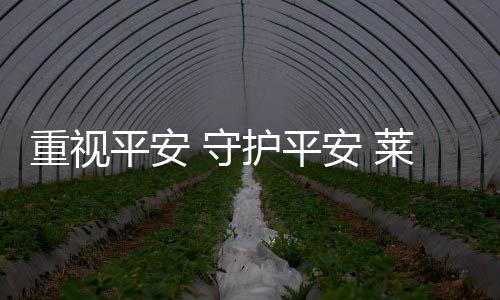 办消自觉接受平安培训