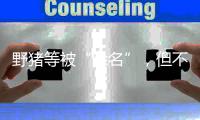 野猪等被“除名”，但不意味着可随意捕杀
