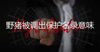 野猪被调出保护名录意味着什么？