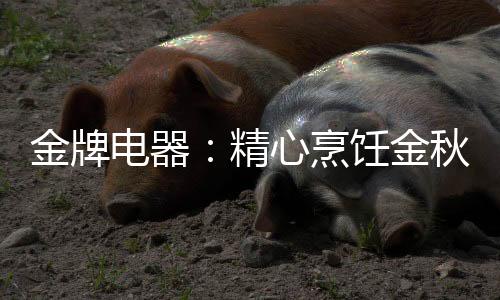 金牌电器依旧守候在身边