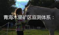 青海木里矿区监测体系
：矿区环境质量稳定