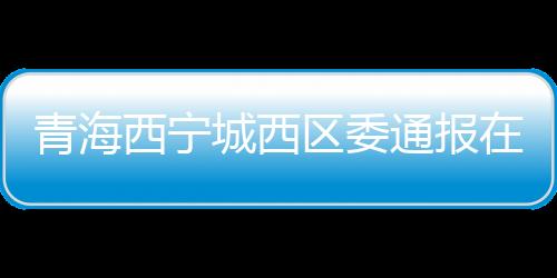 青海区委推动落实不到位
