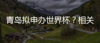 青岛拟申办世界杯	？相关部门回应：不一定是主赛事