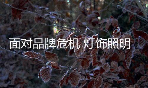 才能在遇到品牌危机时