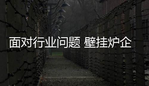 问题壁挂炉市场竞争激烈