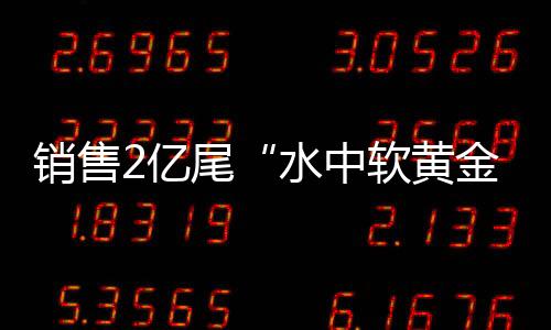 ‘百千万工程’高质量发展