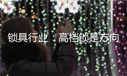 行业向门执手门锁和插芯门锁