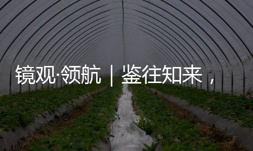 向史而新色老妹