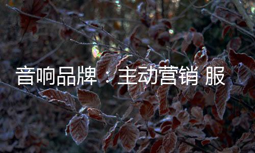 品牌还需要安装售后