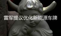 雷军提议优化新能源车牌设计
，网友
：期待个性化色彩样式