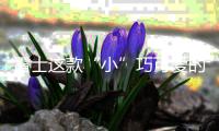 雷士这款“小”巧可爱的灯，居然有“大”作用
