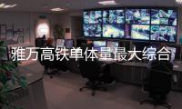 快排公司十年历程，霸屏兔 seo 的崛起与坚守