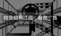雅鲁藏布江底	，有条“鱼”在凝望沙的迁徙