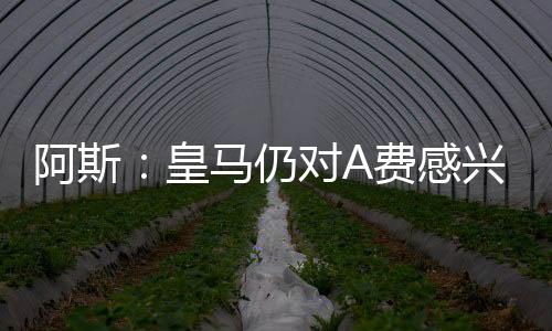 皇马皇马内部对门迪也有疑问
