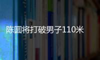 快排公司十年历程，霸屏兔 seo 的崛起与坚守