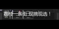 荔枝一条街 现摘现选！斗门荔枝旅游文化嘉年华等你来