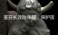 荃芬长效除甲醛，保护孩子健康成长!