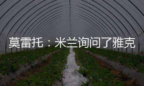 这是兰询我所确认的信息